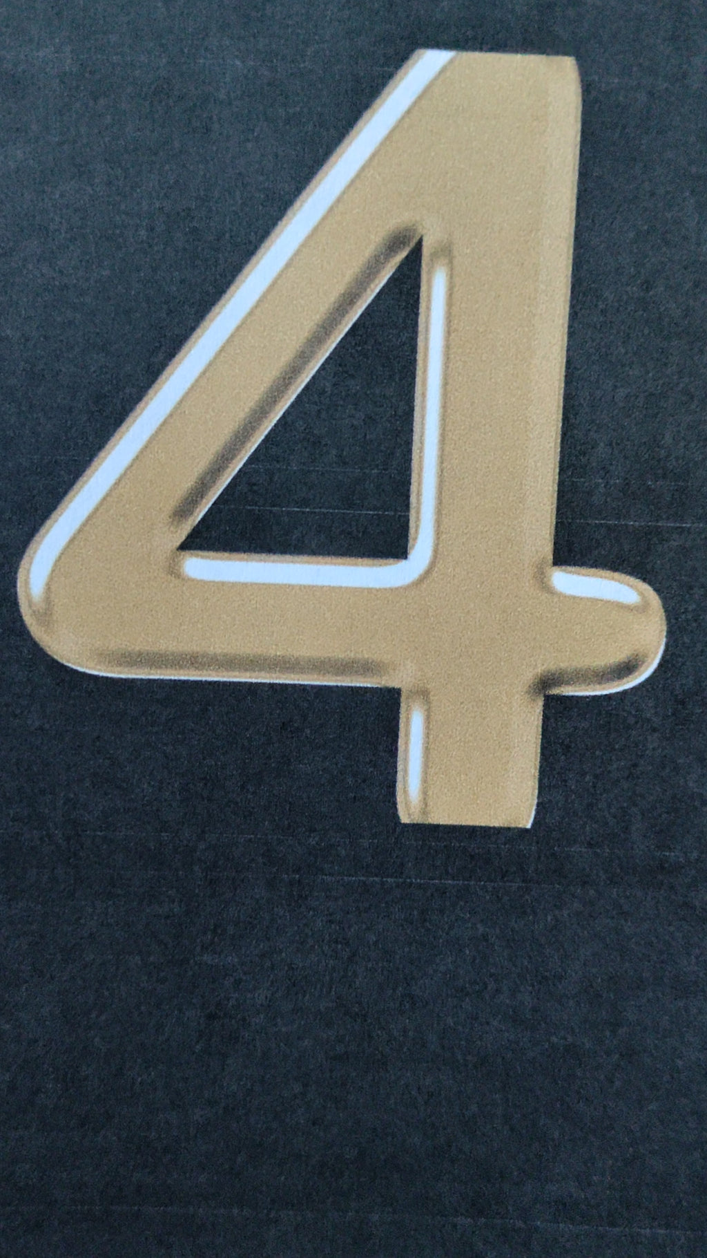 Royal ESL 1st Lesson Files